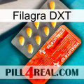 Filagra DXT new01